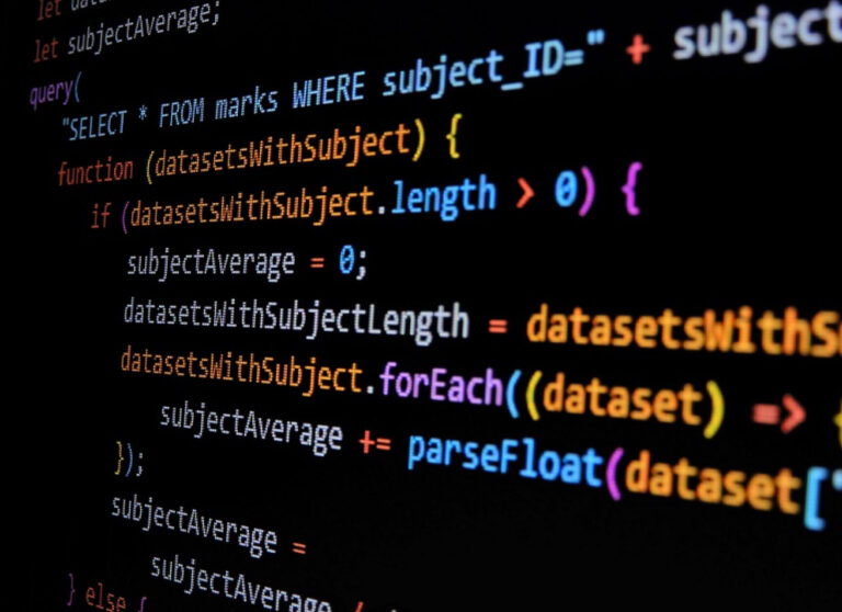 How to become a full stack WordPress developer? - White Canvas