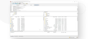 How to Find Your WordPress Installation Path? - White Canvas