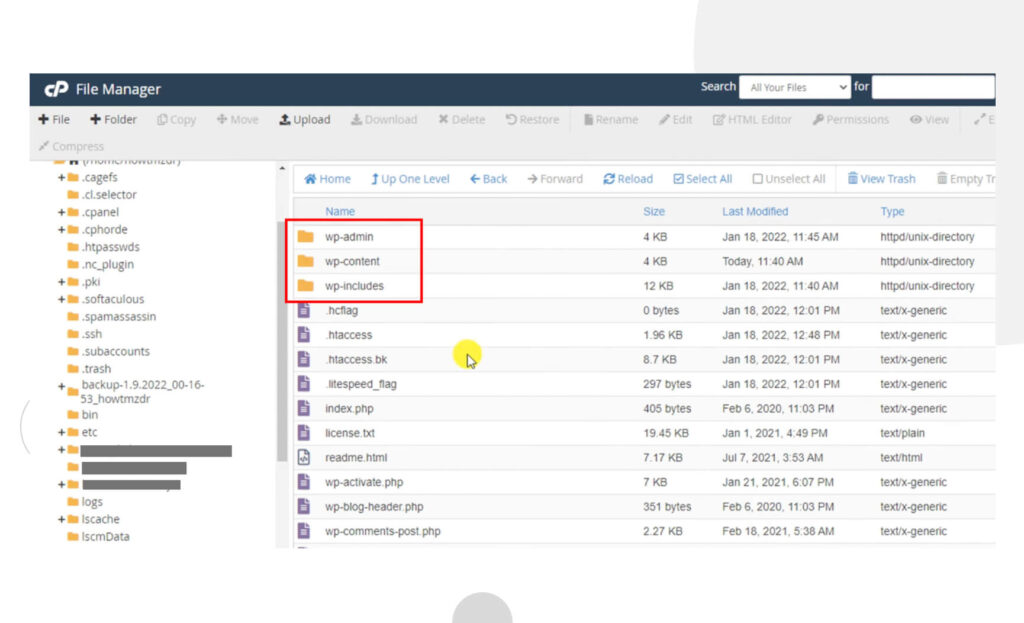 cpanel screenshot  with a red arrow pointing towards the public_html folder