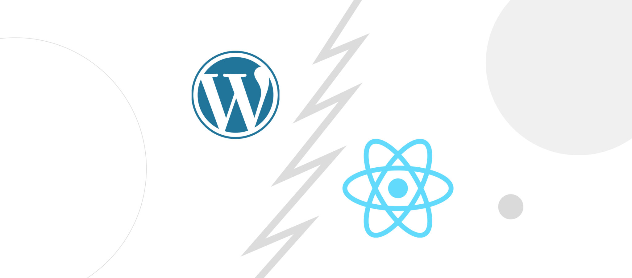 WordPress vs React for web apps: which one should you choose? - White ...