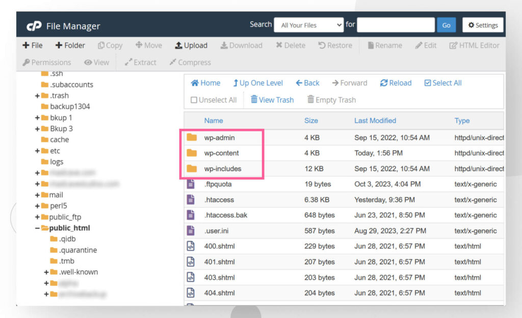 screenshot of cPanel's File Manager inside the public_html folder. The three core WordPress folders are highlighted