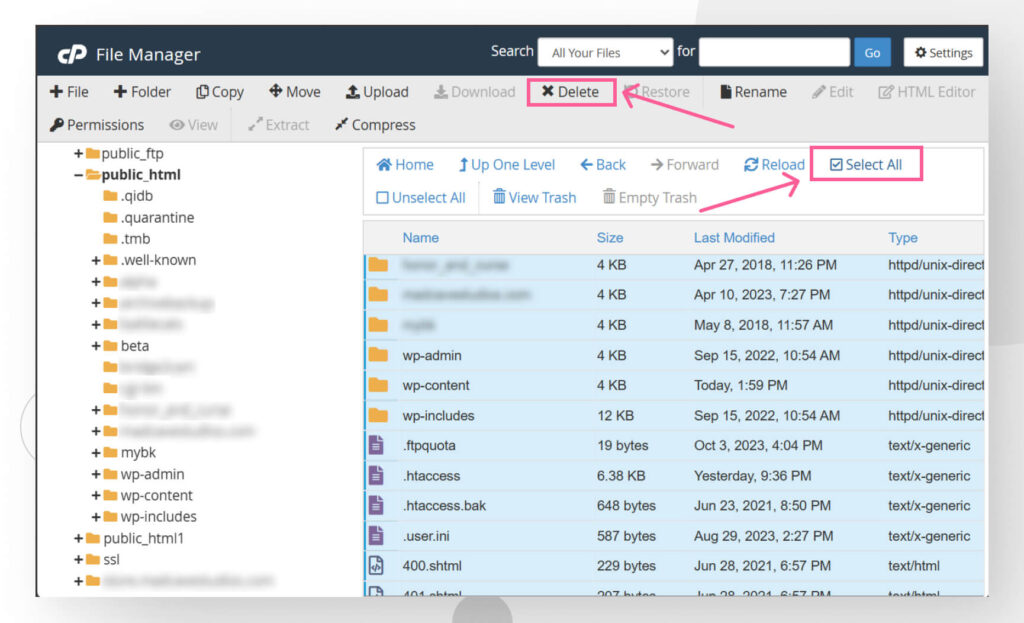 Inside the public_html folder, highlighting the Select All and Delete buttons