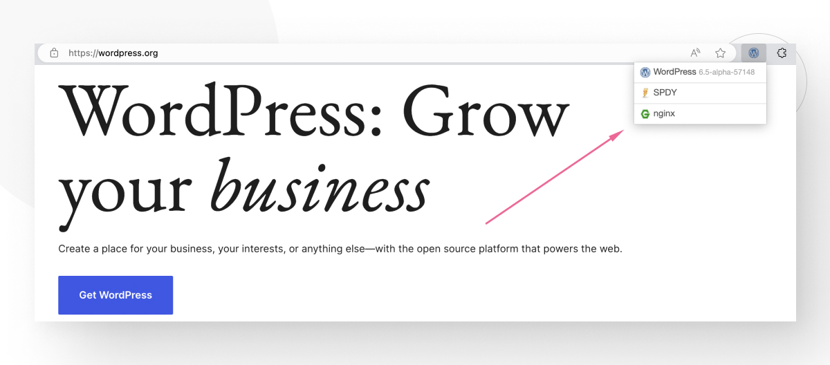 How to know if a website is made with WordPress? White Canvas