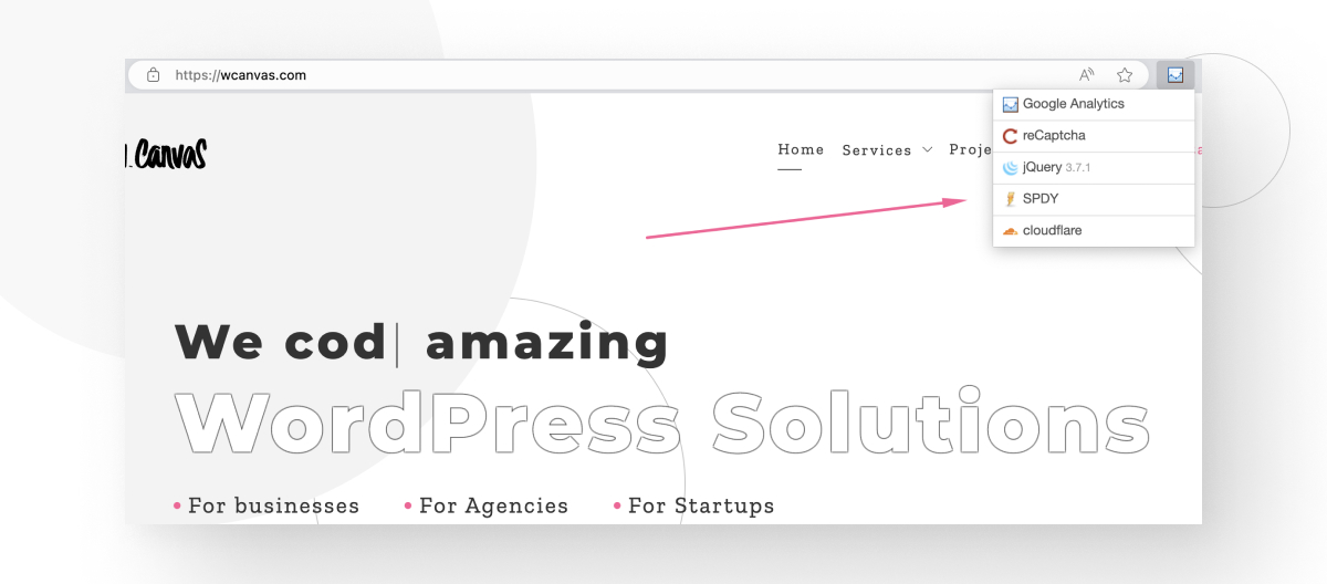 How to know if a website is made with WordPress? White Canvas