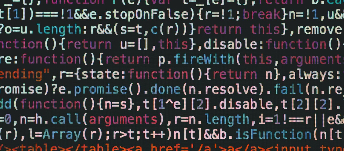 What Programming Languages Does WordPress Use? - White Canvas