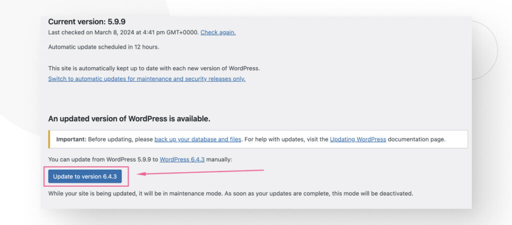 The "Update to version" button in the WordPress admin