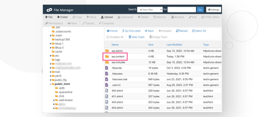 "wp-content" folder in cPanel's File Manager, highlighted with a square