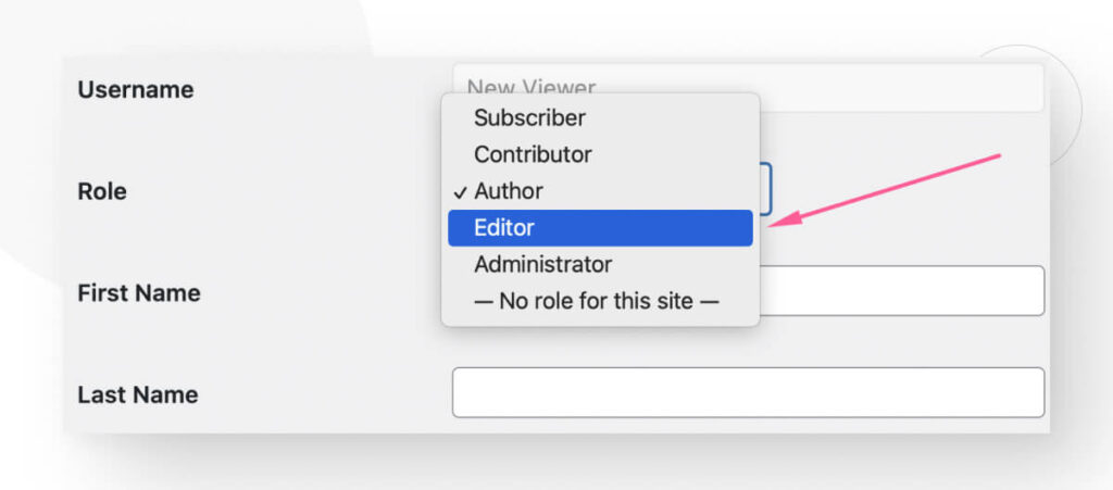 Changing the user's role to Editor in WordPress