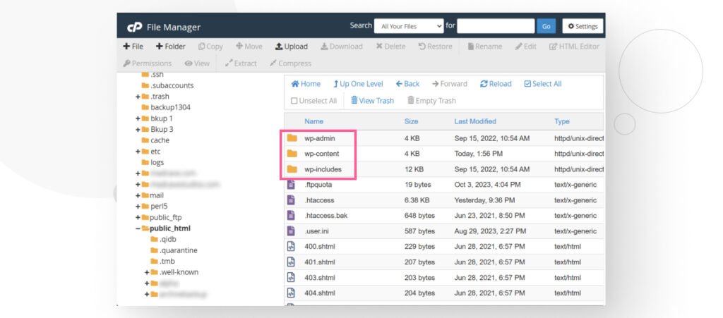 Various digital folder in cPanel's File Manager interface, highlighting the WordPress core folders wp-admin, wp-content, and wp-includes