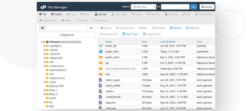 cPanel's File Manager. An arrow points toward the public_html folder