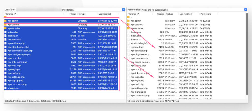 La interfaz de FileZilla. Los archivos del núcleo de WordPress en el dispositivo local están a punto de ser arrastrados y transferidos al servidor web remoto