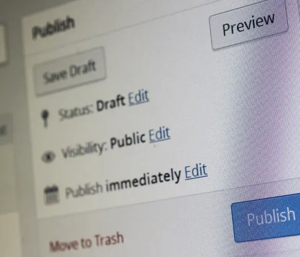 The WordPress interface for publishing posts