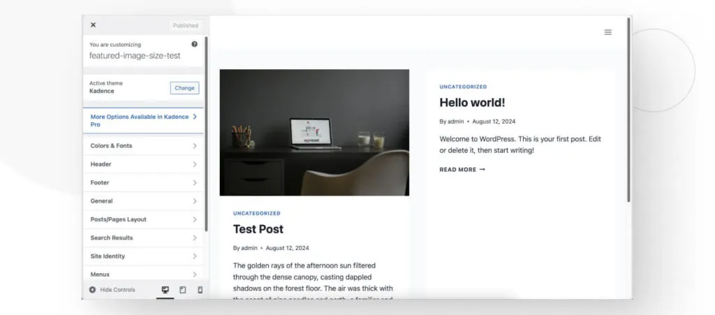The interface of the WordPress Theme Customizer