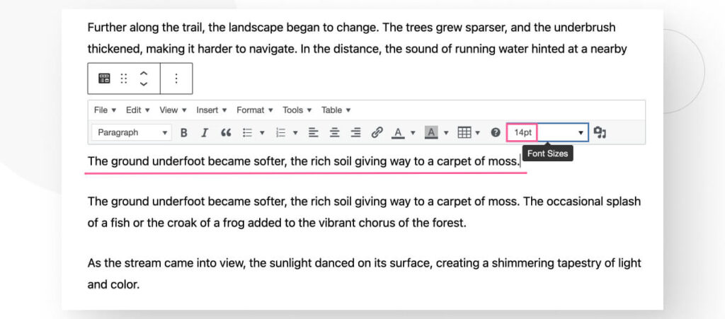 The Gutenberg editor interface. The Classic Paragraph block contains multiple text editing options.