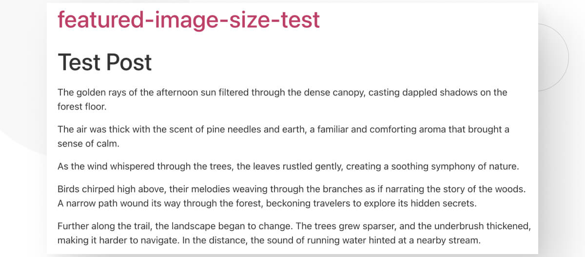How to Increase Font Size in WordPress: 3 Easy Methods - White Canvas
