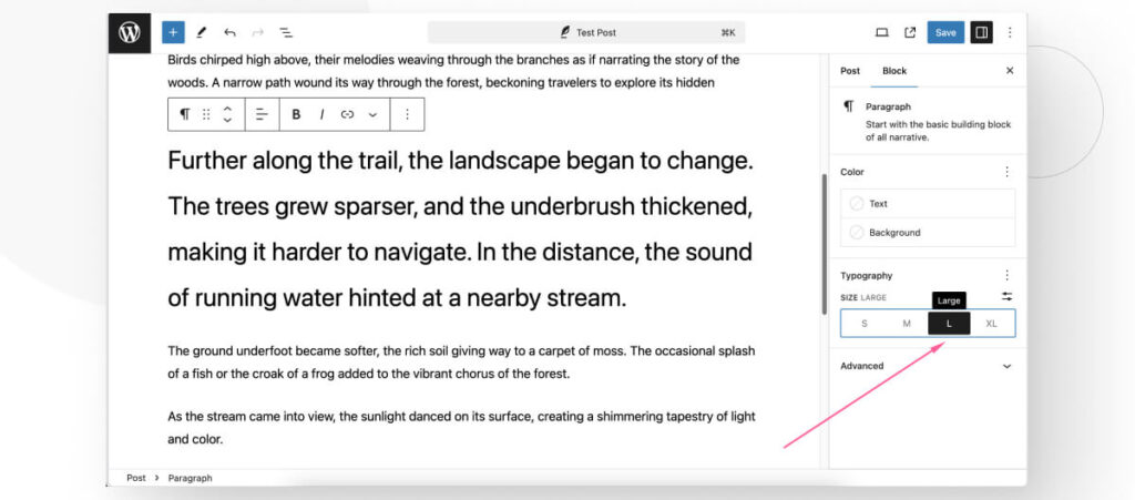 The Gutenberg interface, highlighting the "Large" setting on the Typography options of the Paragraph block