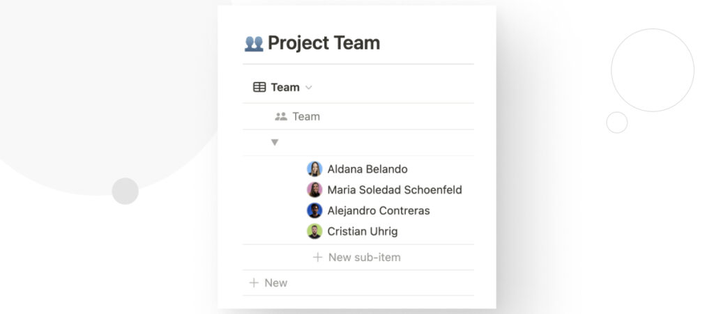 The project brief of a WordPress development project, as presented in an Asana board. The "Project Team" section provides a list of every developer, QA analyst, web designer, and project manager working on the website