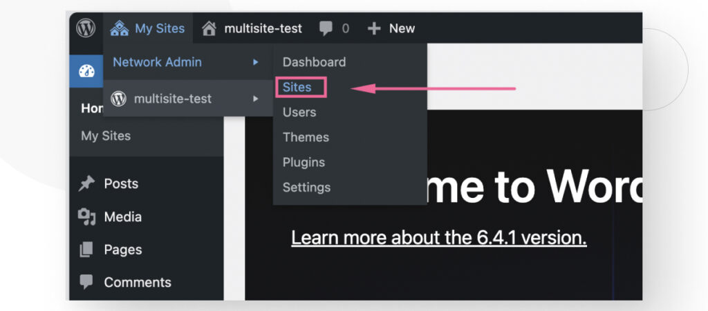 The Network Admin menu in the WordPress admin dashboard